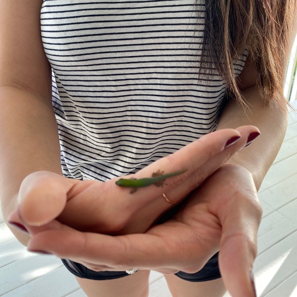 Meet Your Posher 💕 - Picture 5 of 5